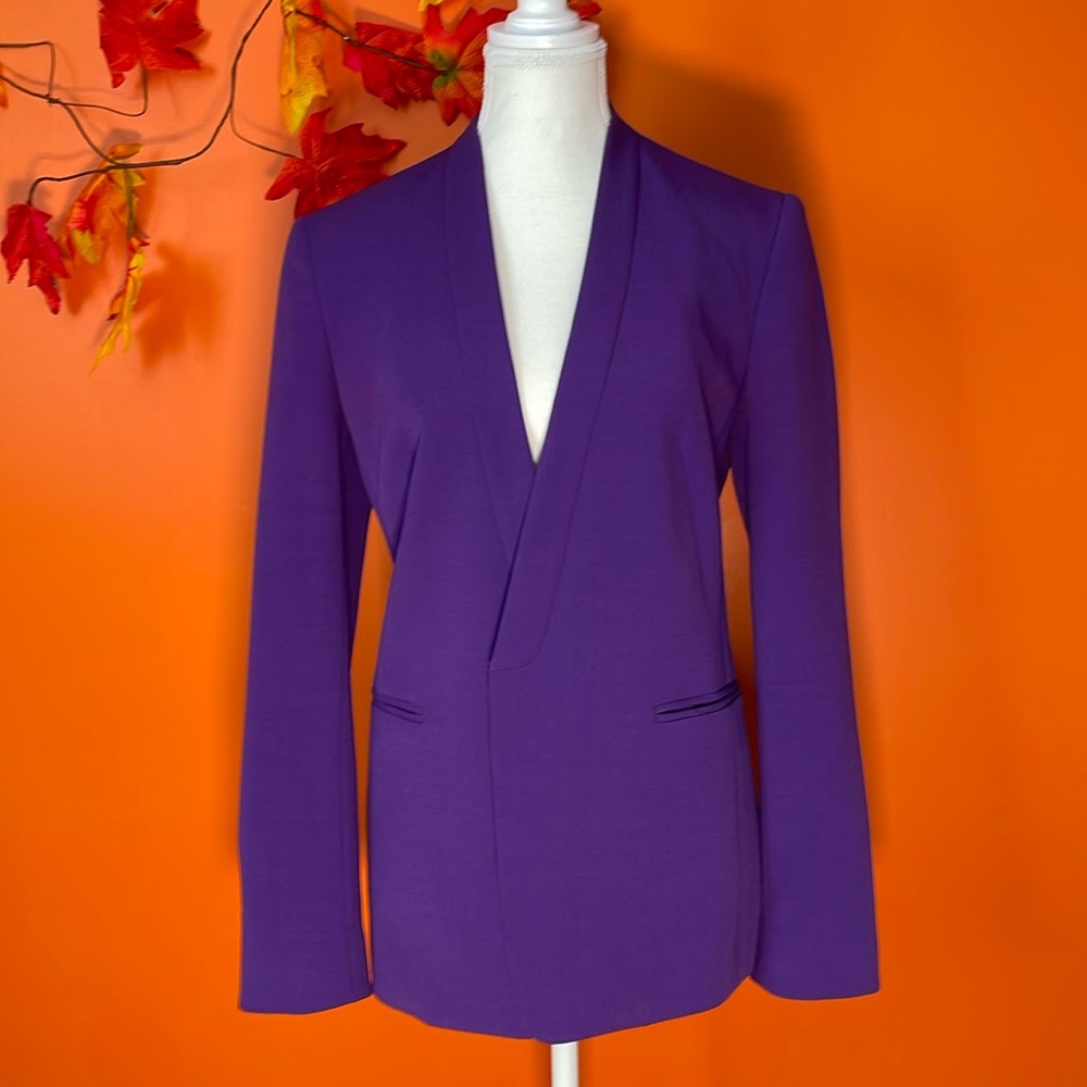 SFW Suitable for Work eggplant purple-Sz S